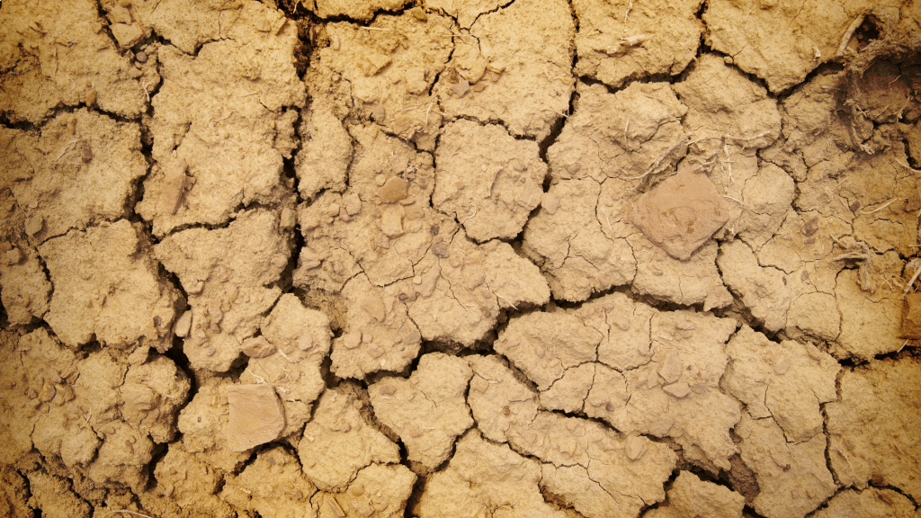 cracked dry soil