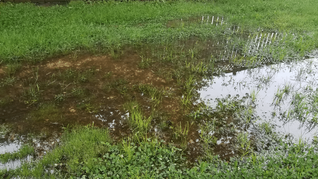 ground saturated with rainfall