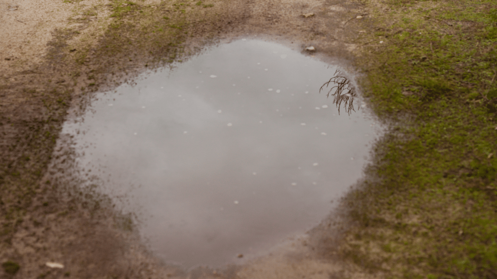 puddle of water
