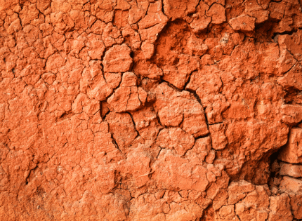 red clay soil