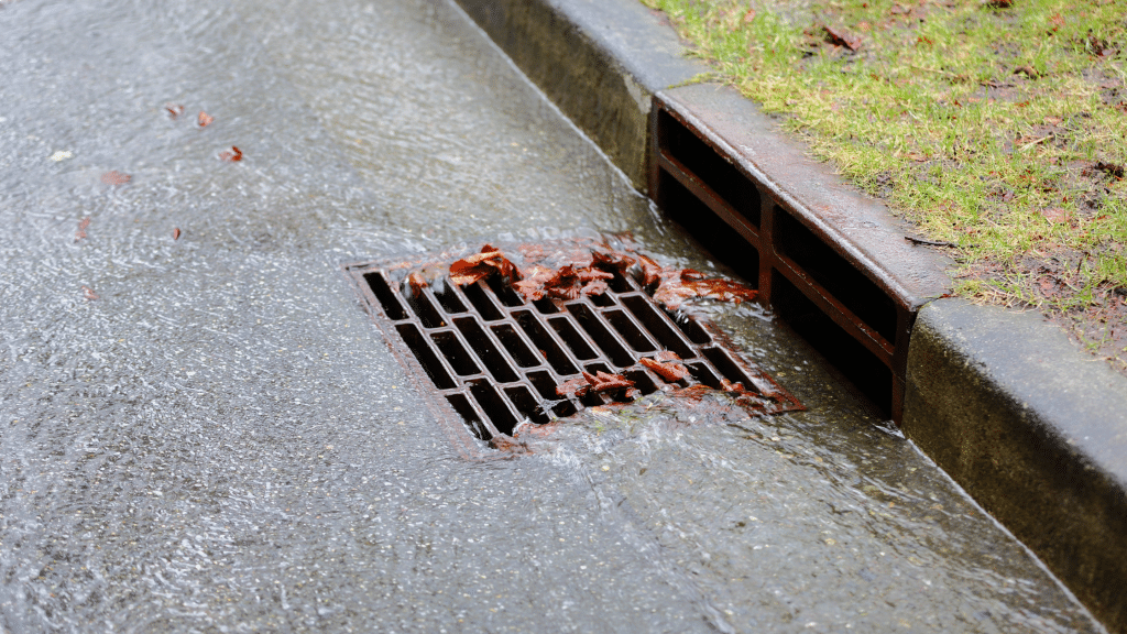 the sewer system