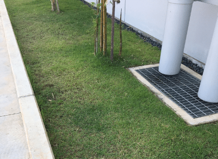 Foundation grading and landscaping