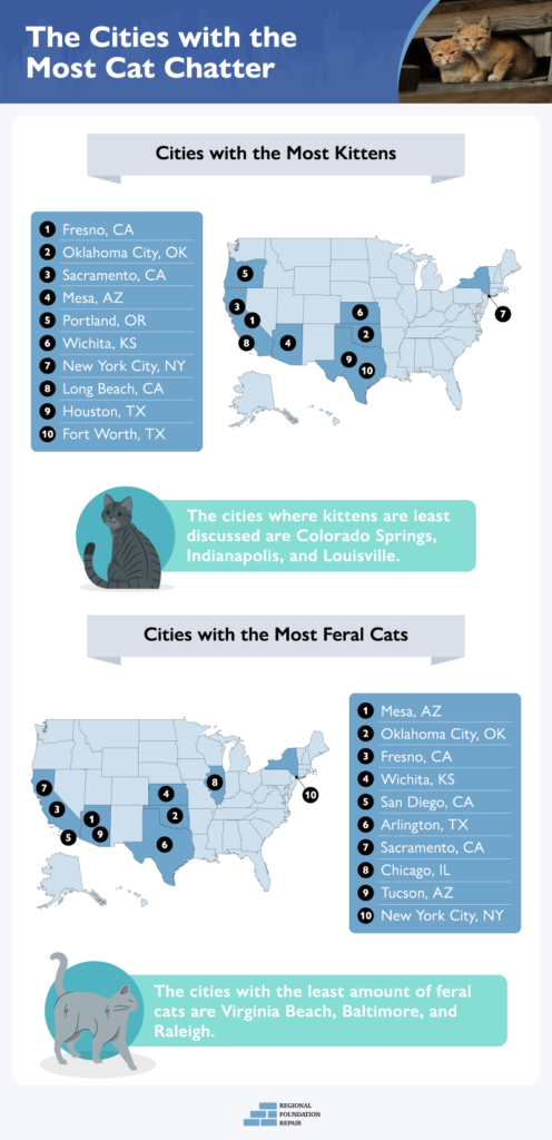 map of cities that discuss cats the most